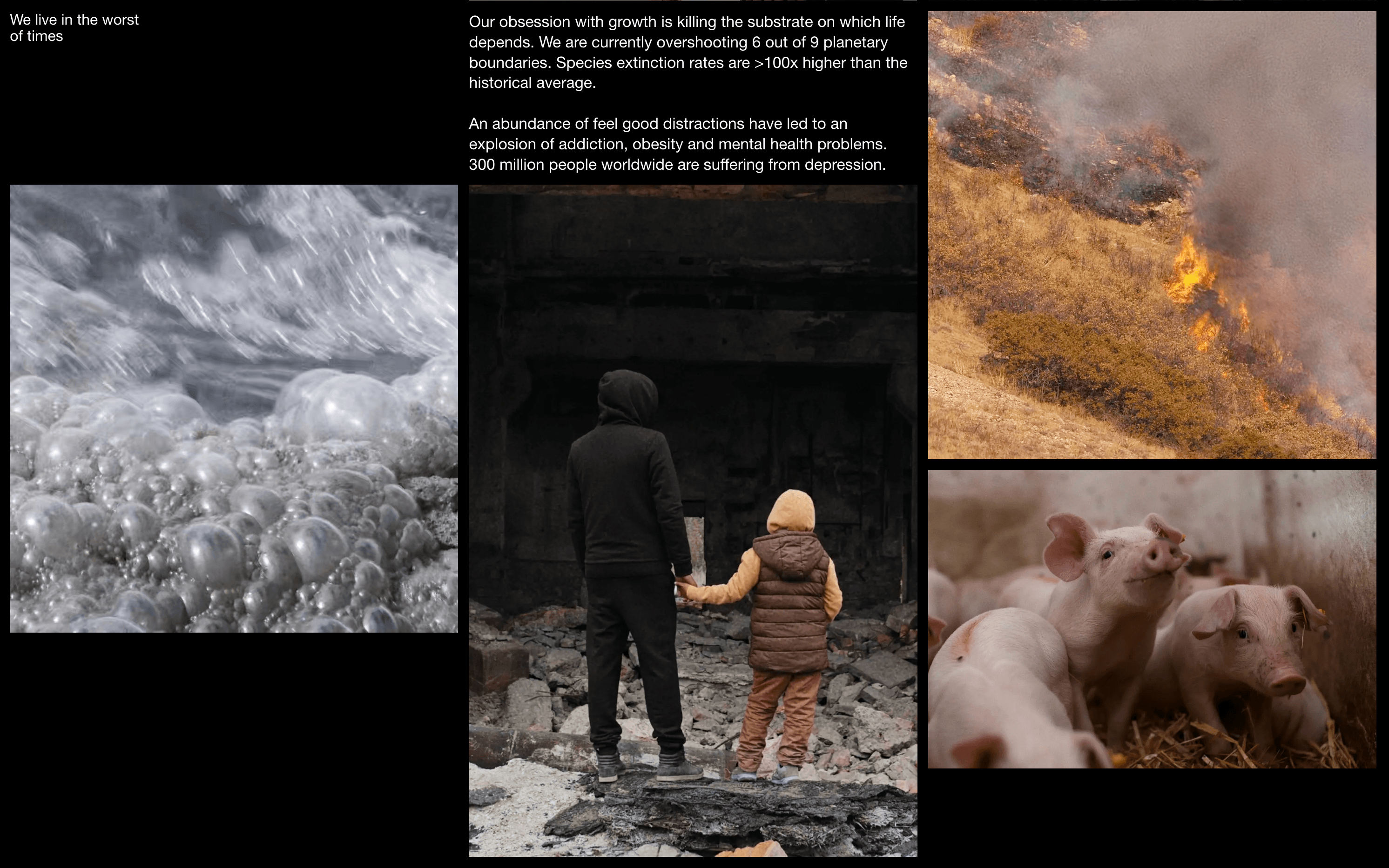 images/assets/Pasted image 20251028163602