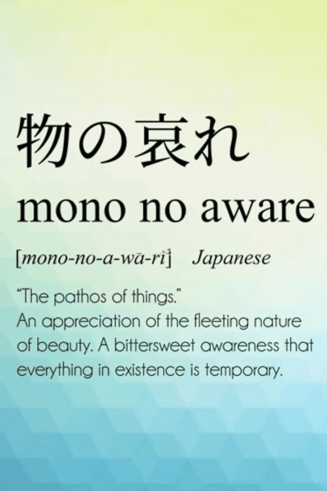 images/assets/Pasted image 20260108111635